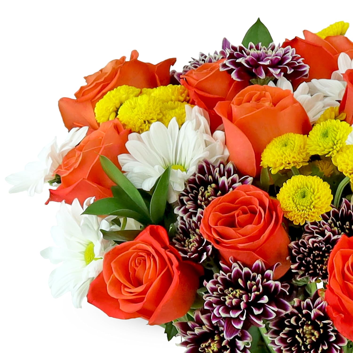 Benchmark Bouquets - Life is Good Orange (Glass Vase Included) - Fresh Flowers for Next Day Delivery - Gift for Birthday, Anniversary, Get Well, Sympathy, Congratulations