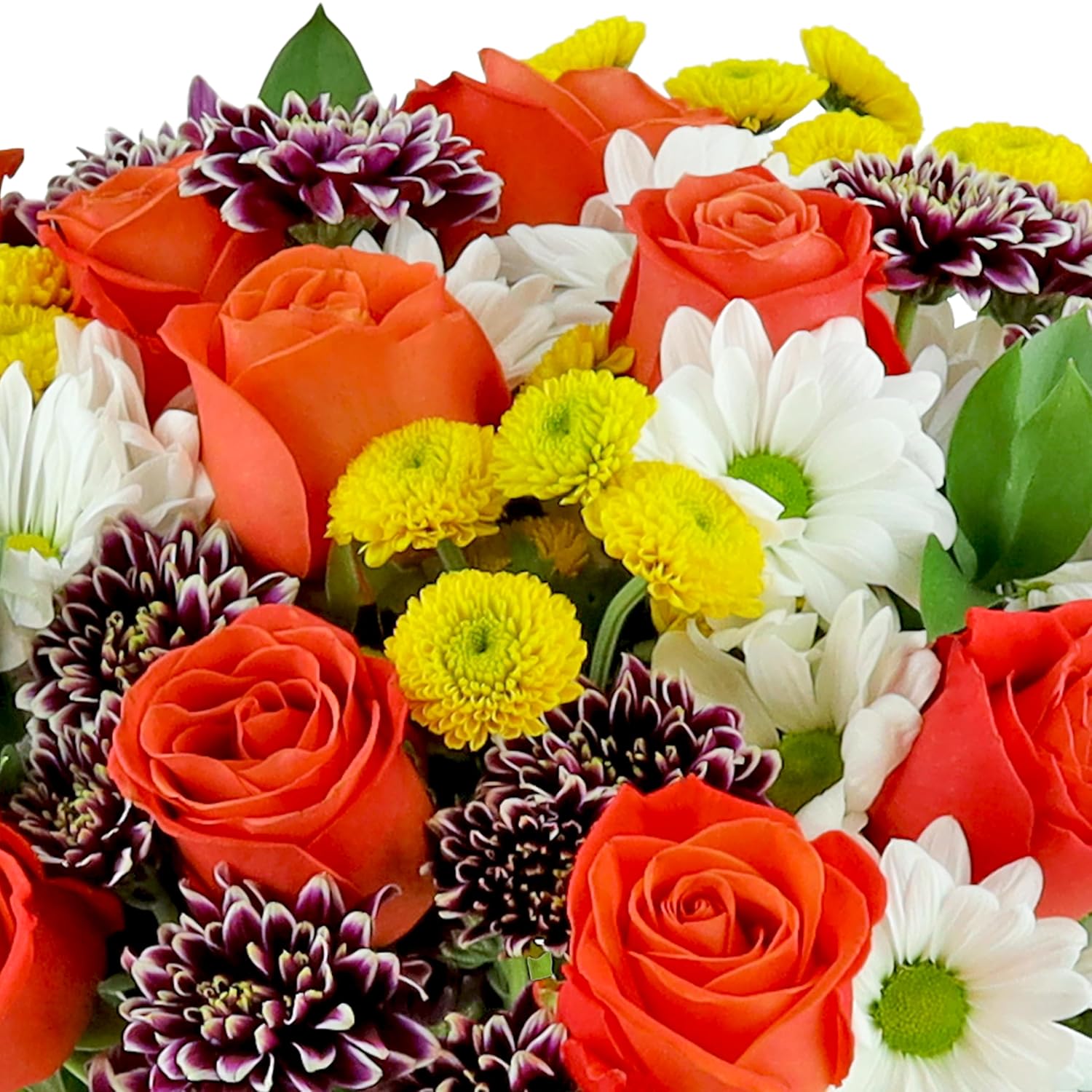 Alternative view of Benchmark Bouquets - Life is Good Orange (Glass Vase Included) - Fresh Flowers for Next Day Delivery - Gift for Birthday, Anniversary, Get Well, Sympathy, Congratulations