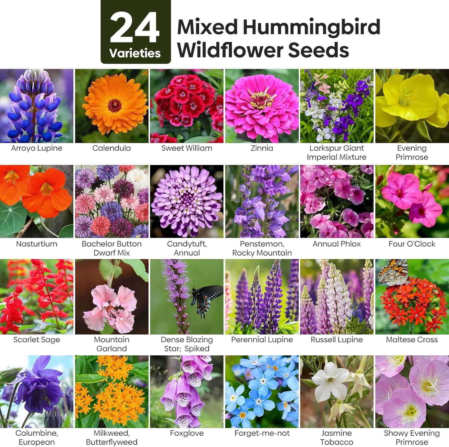 Wildflower Seeds Hummingbird and Butterfly Mix 1 Ounce, No Filler, 24 Varieties Flowers Seeds to Plant Outside, Annual Perennial, Bulk Resealable Package