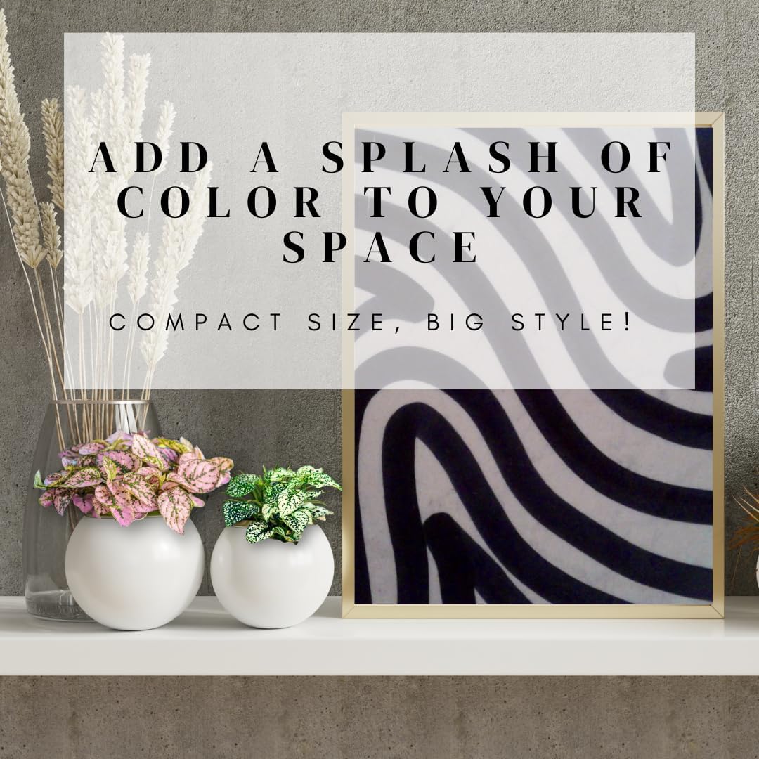 Alternative view of Polka Dot Plant Collection (4-Pack) - House Plants Indoors Live, Air Purifying Live Indoor House Plants, (Red, White, Rose, and Pink) Indoor Plants Live houseplants.