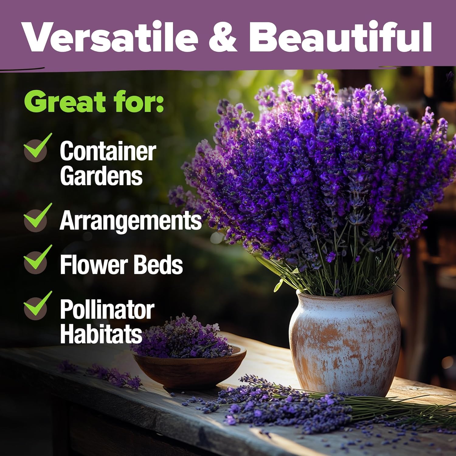 Alternative view of HOME GROWN Non GMO English Lavender Seeds 1,500+ Wildflower Seed for Planting Indoor/Outdoor, High Germination, Plant Flower Seeds (Lavandula antustifolia)