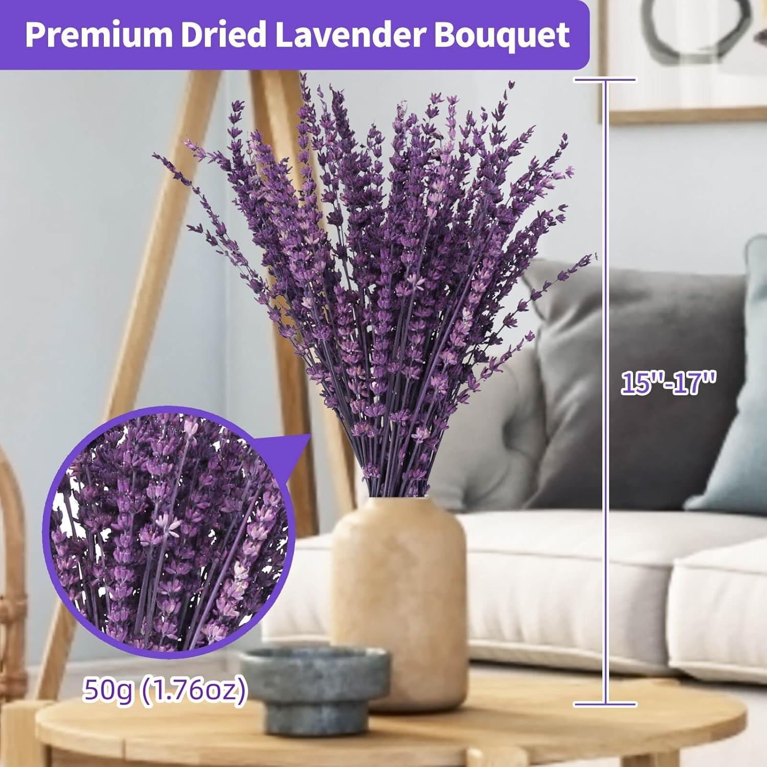 Alternative view of Dried Purple Lavender Flowers Bundle-Dried Preserved Lavender Bouquet 15-17" for Shower Weeding Home Vase Decor, Crafts, Aromatherapy, Fragrance, Fresh Silk Dry Live Plants, 50g(1.76oz)