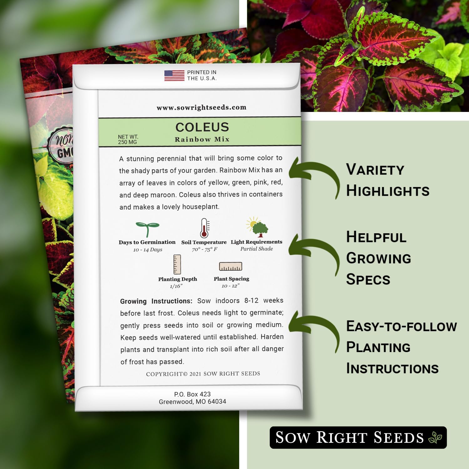 Sow Right Seeds - Coleus Rainbow Mix Seeds for Planting - Beautiful Flowers to Plant in a Home Garden - Indoors or Outdoors - Non-GMO Heirloom Seeds - Attractive & Colorful - Great Gardening Gift (1)