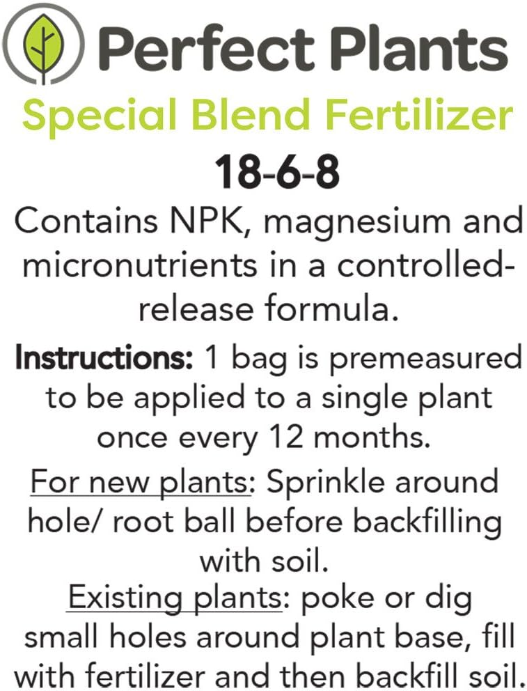 Perfect Plants Frostproof Gardenia Live Plant, 1 Gallon Pot