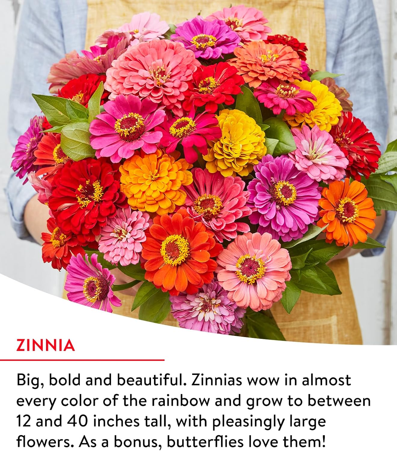 Burpee Fast Blooming 25,000 Non-GMO Planting, 1 Bag Easy Grow Wildflower Seed Mix Contains 14 Flower Varieties for Home Garden