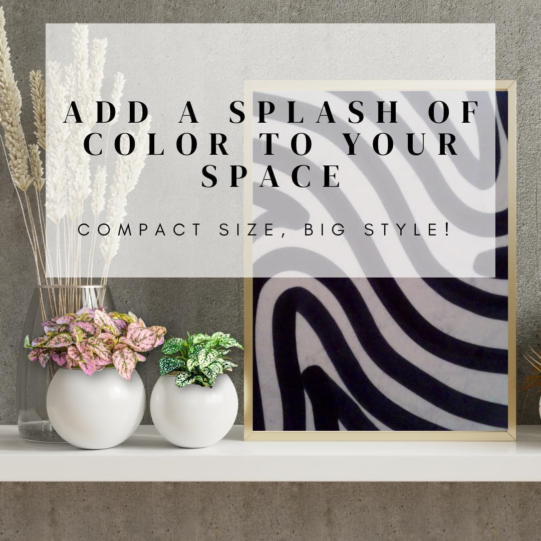 Alternative view of Polka Dot Plant Collection (4-Pack) - Live Houseplants, Small Indoor Plants, Hypoestes (Red, White, Rose, and Pink) - Colorful, Air-Purifying House Plants (Collection)