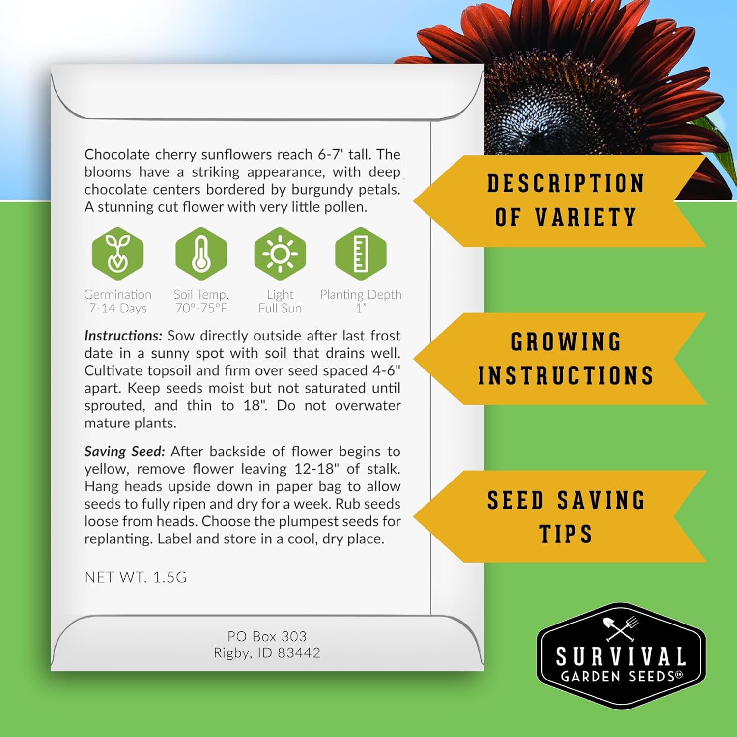 Chocolate Cherry Sunflower Seeds for Planting | Rare Burgundy Black Blooms, 6-7ft Giant Non-GMO Heirloom Flower - Survival Garden Seeds (1 Pack)