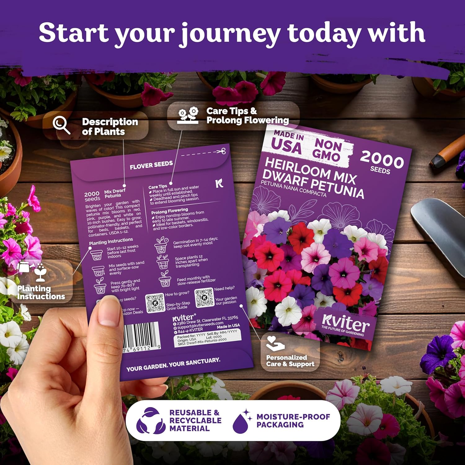 KVITER 2,000 Mix Dwarf Petunia Seeds for Planting Flowers (Nana Compacta) u2014 Mini Petunia Flower Seeds, Annual, Organic & Non GMO u2014 Beds, Hanging Baskets, Containers, Outdoor & Indoor Garden