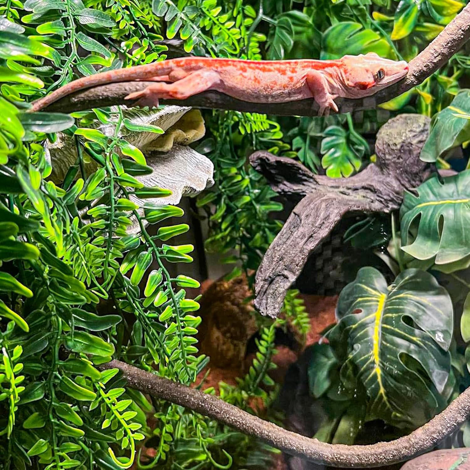 HERCOCCI 2 Pack Reptile Plants, Terrarium Hanging Plants Vines Artificial Leaves Habitat Decorations with Suction Cup for Bearded Dragon Hermit Crab Lizard Snake Geckos Chameleon