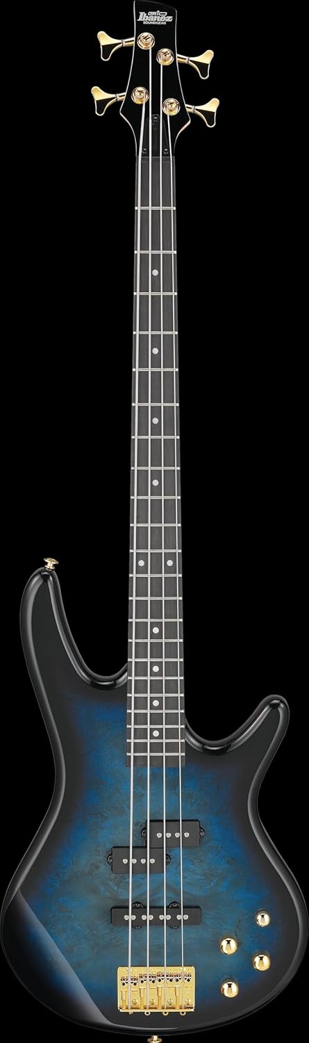 Ibanez Gio GSR200PC 4-String Right-Handed Electric Bass Guitar with Okoume Body, Maple Neck, and Purpleheart Fretboard (Transparent Marine Burst)