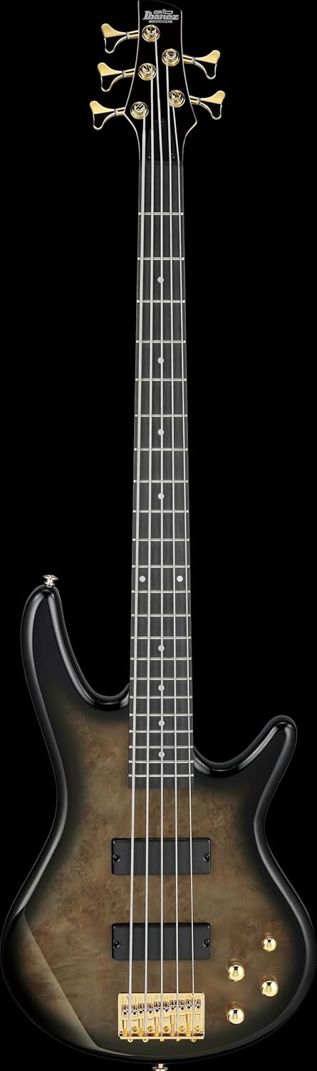 Ibanez GSR205PC GIO 5-String Bass Guitar, Purpleheart Fingerboard, Transparent Pale Black Burst