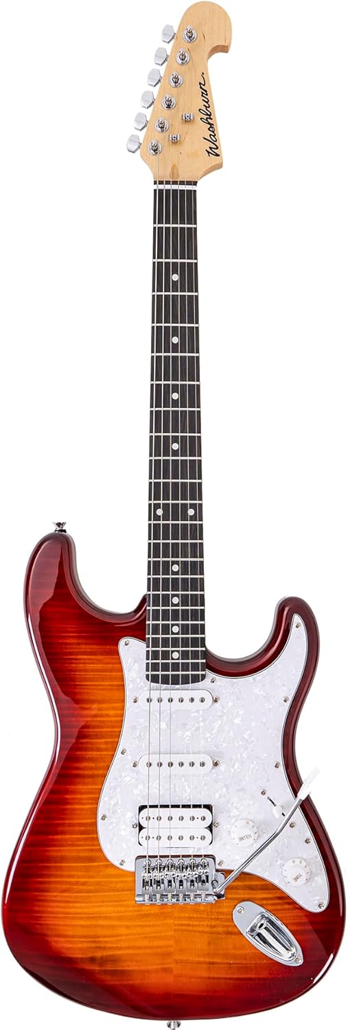 Washburn SDFSB Sonamaster Deluxe Electric Guitar Pack - Sunburst Bundle with Amplifier, Cable, Gig Bag, Strap, Picks, String Winder, Strings, Instructional DVD and Austin Bazaar Polishing Cloth