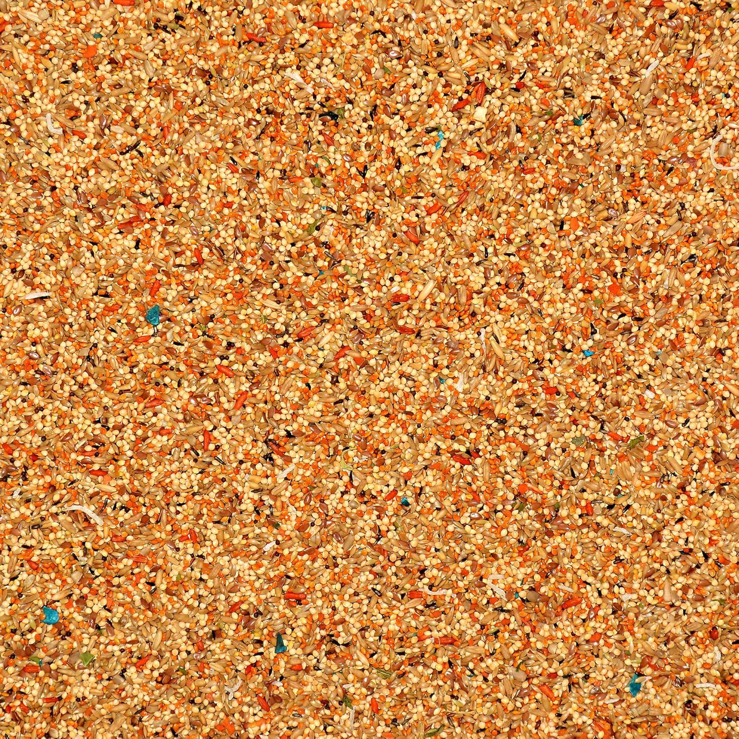 Volkman Avian Science Super Parakeet Bird Food 4lb