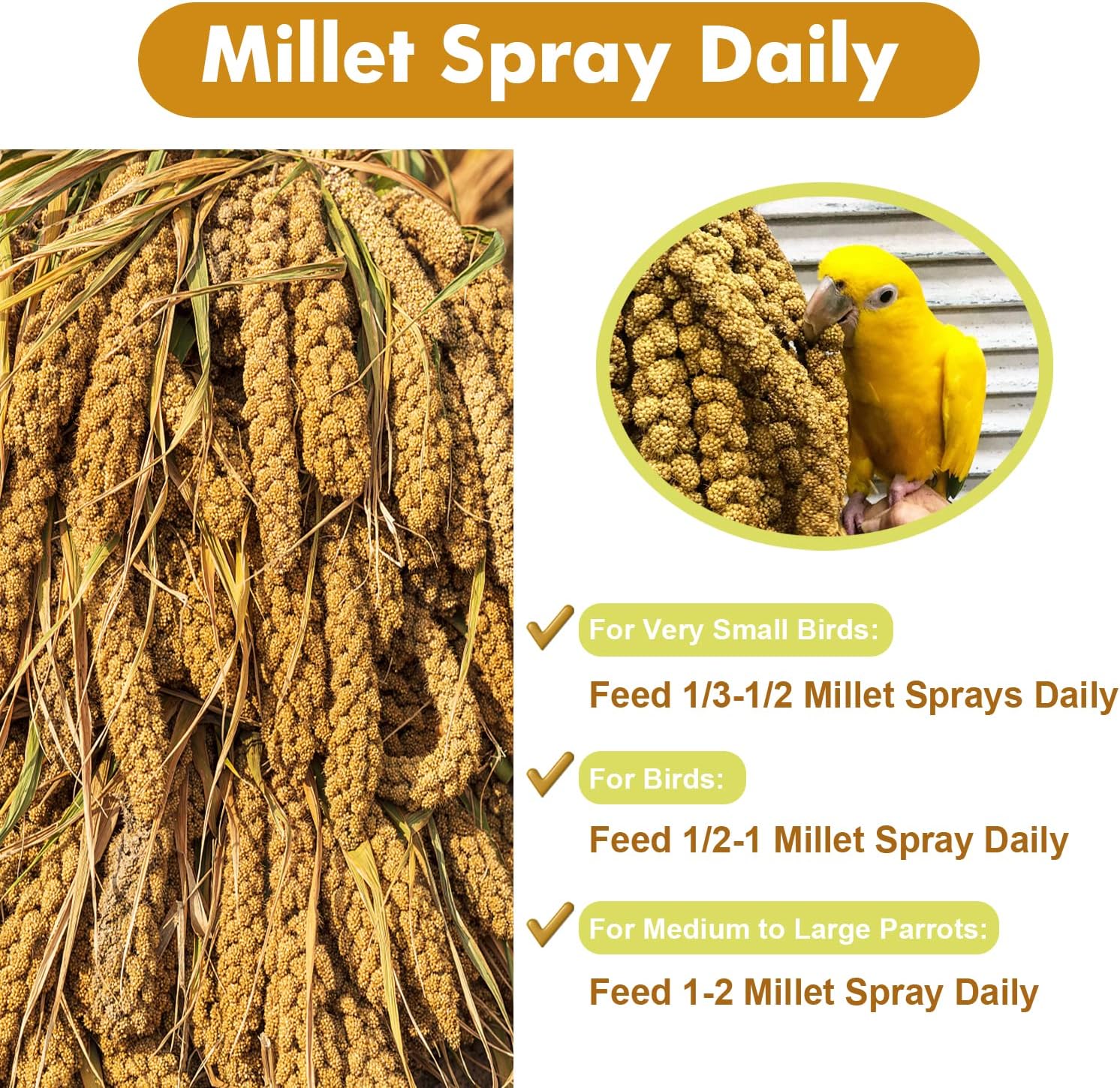 Jmxu's Spray Millet Treat for Birds Parakeets, Natural Sun-Dried Birds Millet for Cockatiel, Budgie, Finches, Parrots, Hamster (2 Pounds) - Image 5