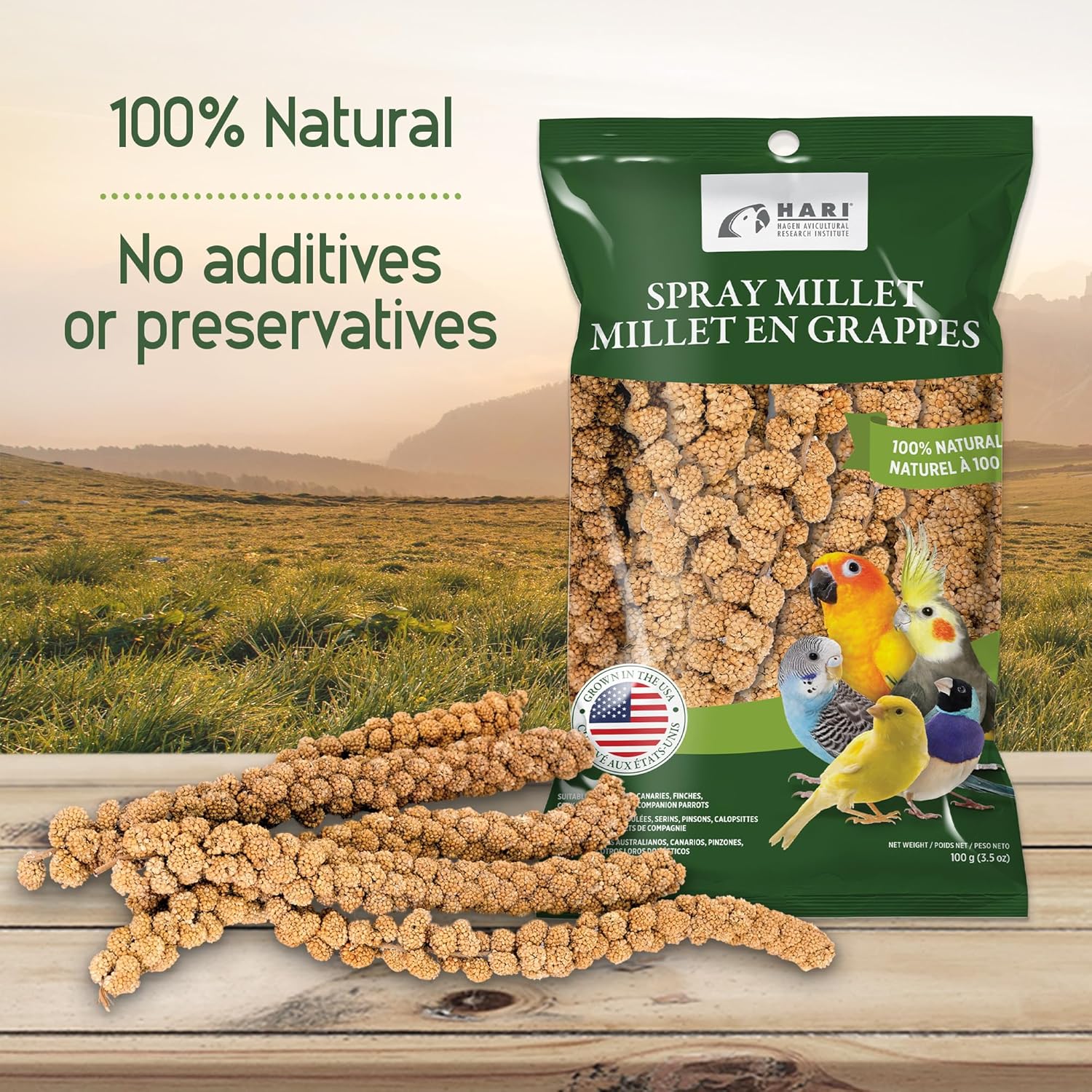 Living World u2013 Millet Spray for Birds, 17.6 Oz u2013 Premium Treat for Budgies, Canaries, Finches, Cockatiels and Other Pet Birds