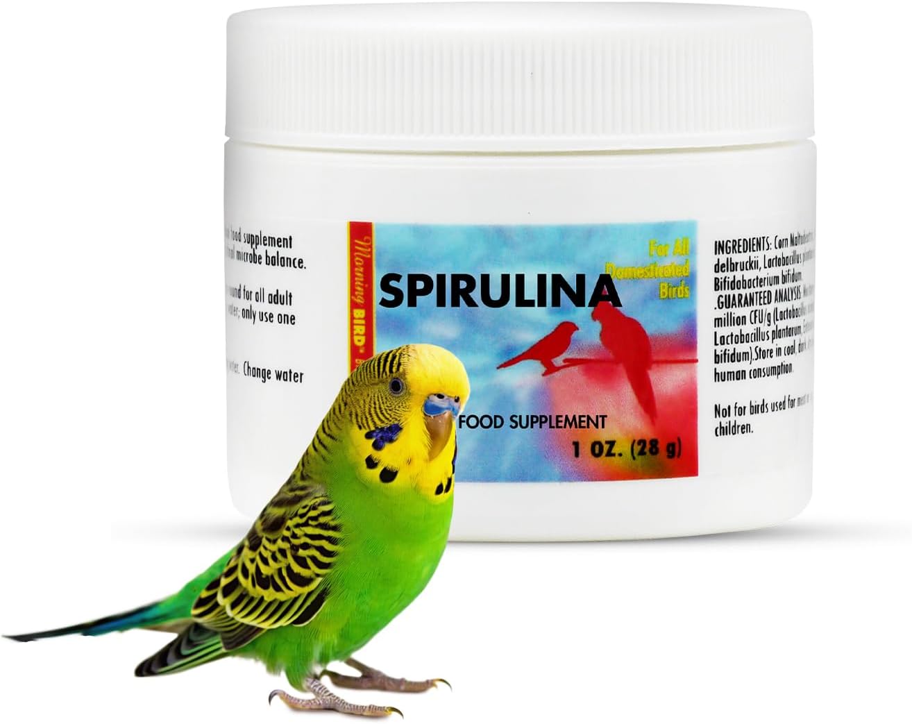 Morning Bird Spirulina 4.5 Oz Supplement for Caged Birds, Organic Bird Food Supplement with Vitamins, Proteins, and Amino Acids for Parakeets, Cockatiels, Budgies, Finches, Canaries, and Parrots