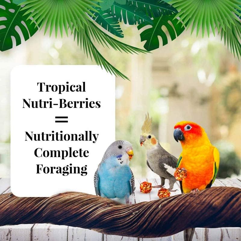 LAFEBER'S Tropical Fruit Nutri-Berries Pet Bird Food, Made with Non-GMO and Human-Grade Ingredients, for Cockatiels Conures Parakeets (Budgies) Lovebirds (Tropical Fruit 10 oz Pack of 2)