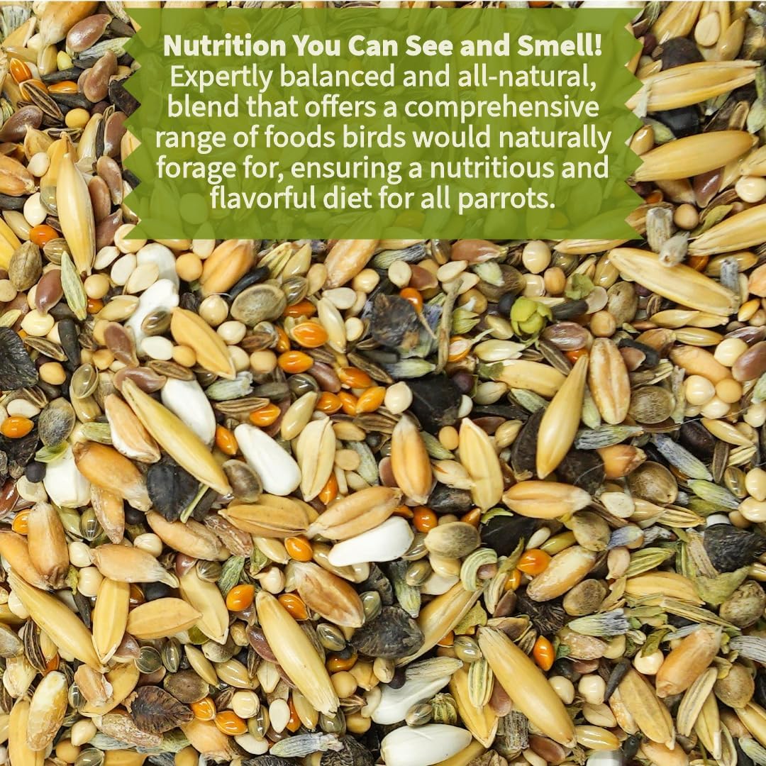KikiBirds Premium Parrot Food| Protein-Rich Low-Fat Formula | Cockatiel, Conure, Lovebird, Quaker, Parrotlet | No Corn, Soy, Peanuts | Gourmet Whole Grains & Seeds | Daily Maintenance Blend (1 lb)