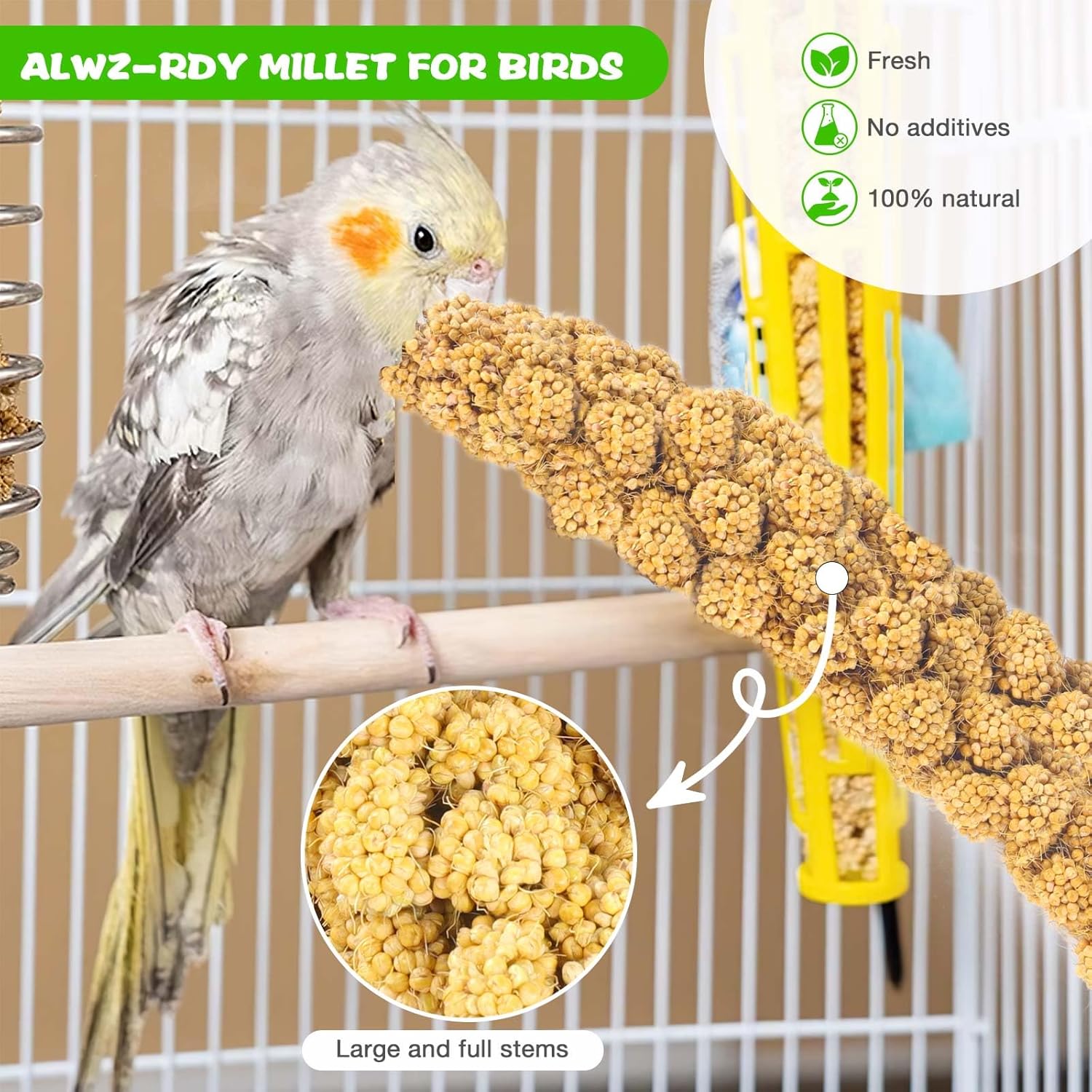 Millet for Birds 1.2LB, Natural Sun-Dried Spray Seed No Stems Only Edible Tops for Parakeet, Budgies, Finches, Cockatiels, Parrots, Lovebird, Hamster and Other Pets Treat