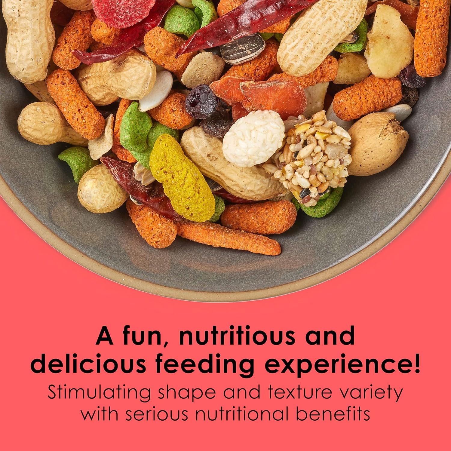 Kaytee Fiesta Parrot Food, Nutritious and Fun Blend, Supports Skin, Feather, Digestion, Brain and Heart Health, 2.5 pounds