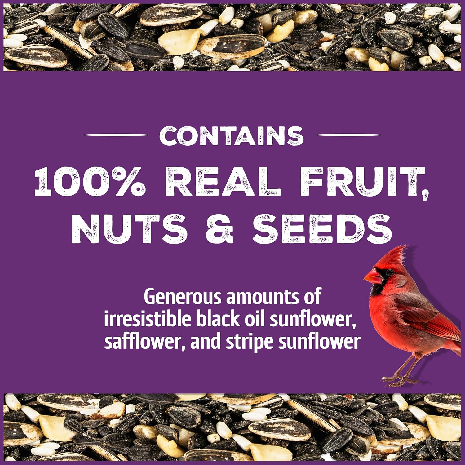 Pennington Pride Songbird Nut & Fruit Blend, Wild Bird Seed for Outside Feeders, Advanced Nutrition Formula for Health, Bird Food, 10-lb. Bag