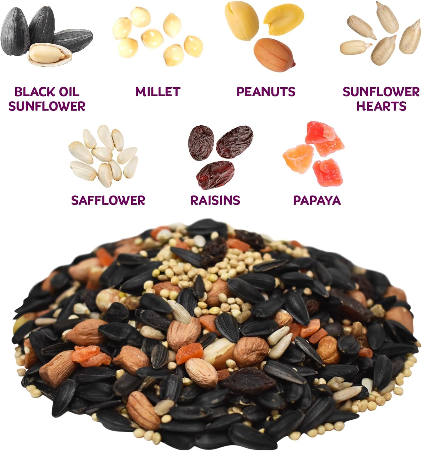 Audubon Park Nut & Fruit Wild Bird Seed u2013 8 lb. Premium Blend with Sunflower Seeds, Peanuts, Safflower & Dried Fruit u2013 Bird Food for Outside Feeders