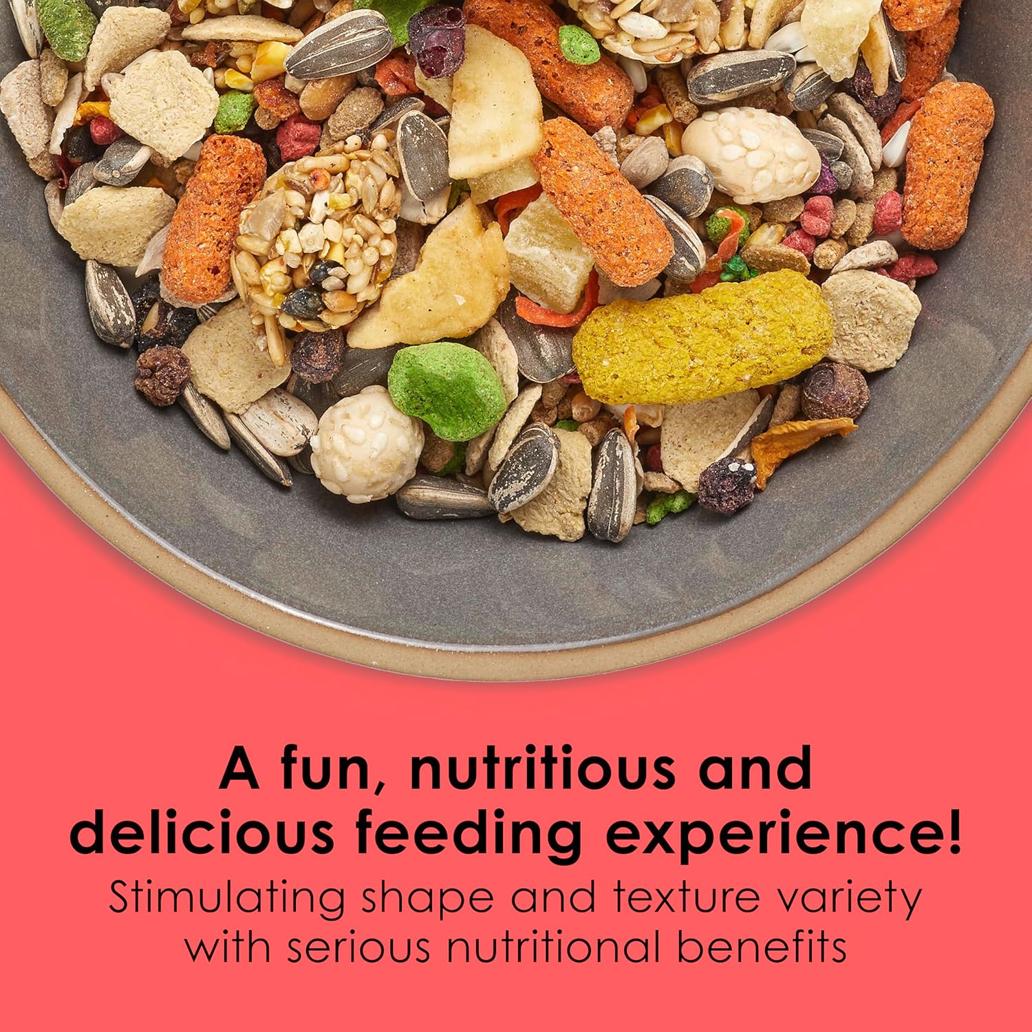 Kaytee Fiesta Conure Food, Nutritious and Fun Blend, Supports Skin, Feather, Digestion, Brain and Heart Health, 4.5 pounds