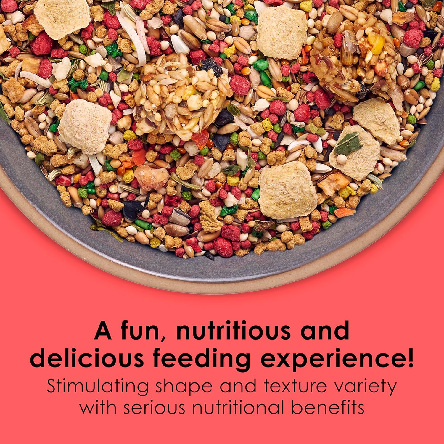 Kaytee Fiesta Parakeet Food, Nutritious and Fun Blend, Supports Skin, Feather, Digestion, Brain and Heart Health, 2 pounds