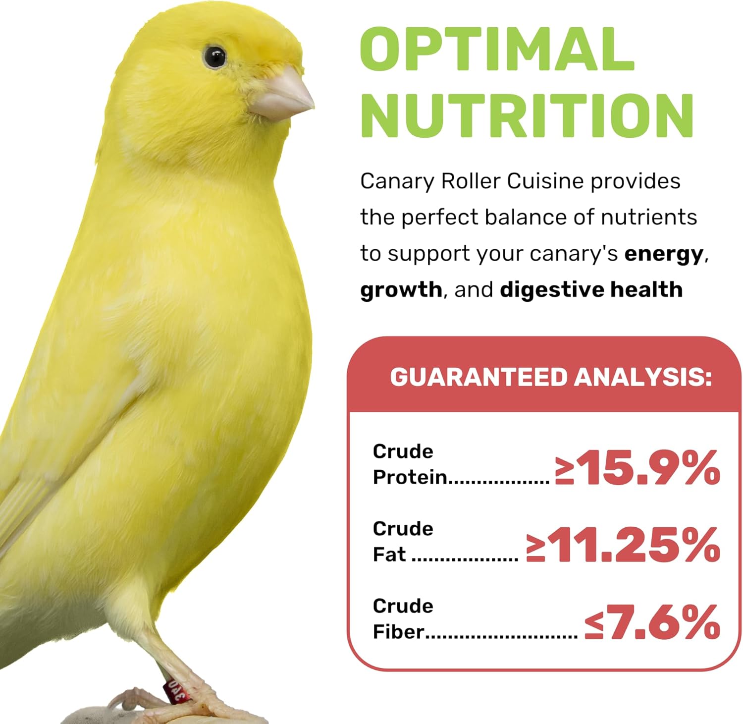 Canary Cuisine 4 Lbs, Premium Mixed Fruit and Birdseed with Essential Vitamins and Minerals, Canary Bird Food, Supports Daily Energy Growth & Healthy Balanced Diet, Bird Seed for Pet Birds