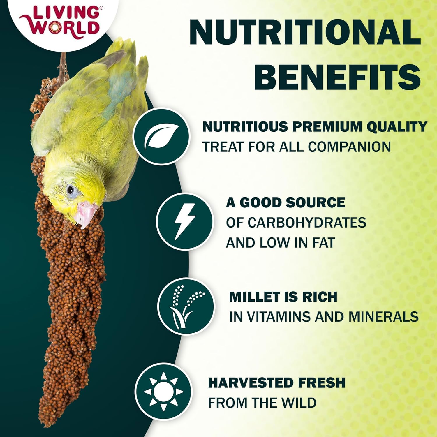 Living World - Millet Spray for Birds, 3.5 Oz u2013 Premium Treat for Budgies, Canaries, Finches, Cockatiels and Other Pet Birds