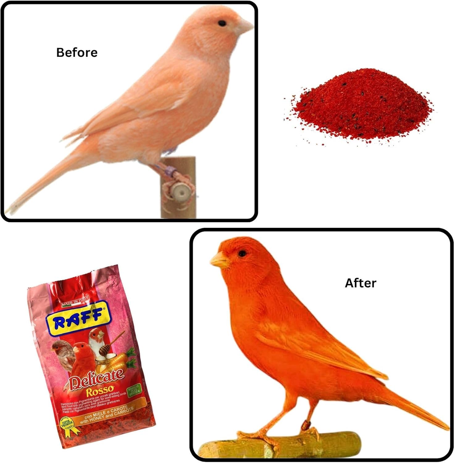 GLOBAL LUXURY MANAGEMENT Raff Delicate Rosso 500g u2013 Red Canary Food Enriched with Honey and Carrots u2013 Specialized Red Factor Formula for Seed-Eating Birds Seeking Vibrant Plumage and Optimal Health