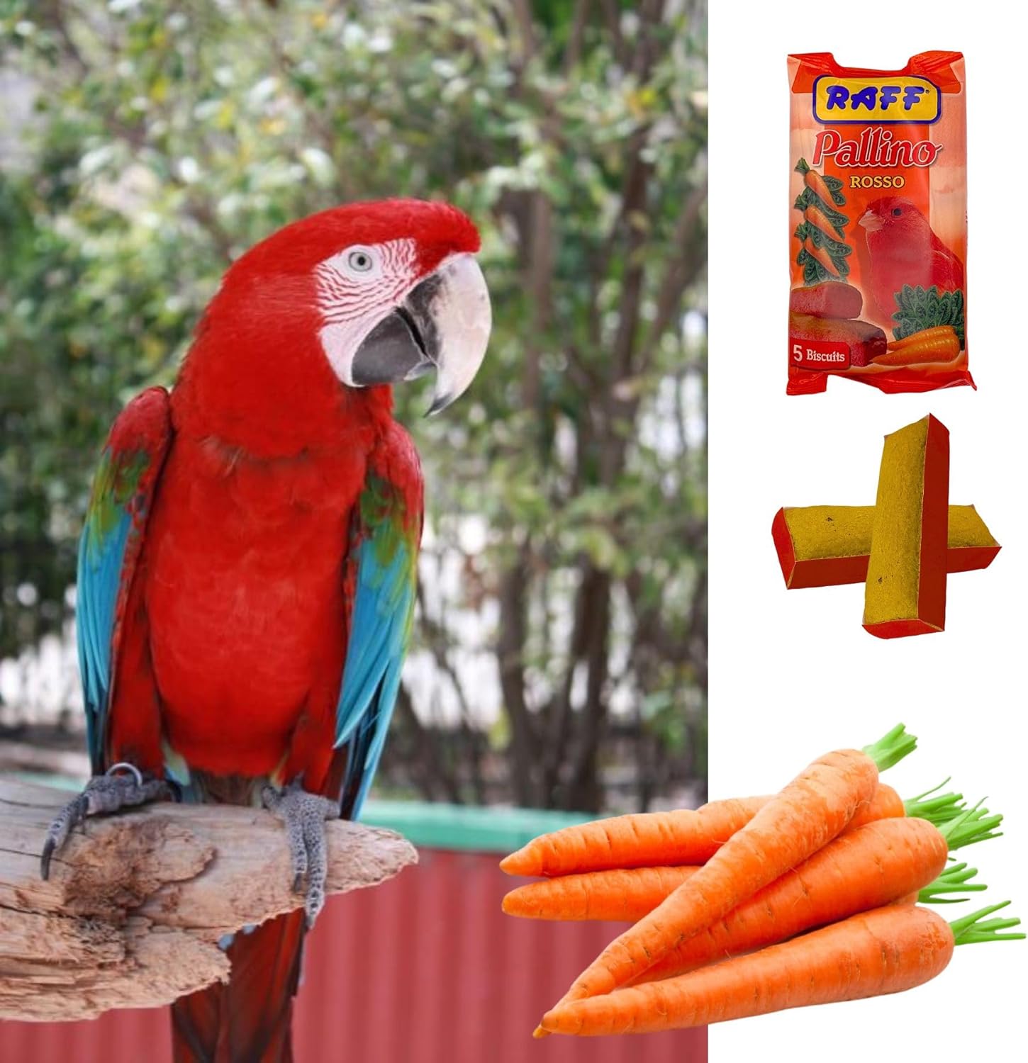 GLOBAL LUXURY MANAGEMENT Pallino Rosso Egg Biscuits for Red Factor Birds 2 Pack u2013 Bird Food to Enhances Red Pigmentation in Canaries & Finches, Snack for Seed-Eating Birds, Nutrient-Rich Formula