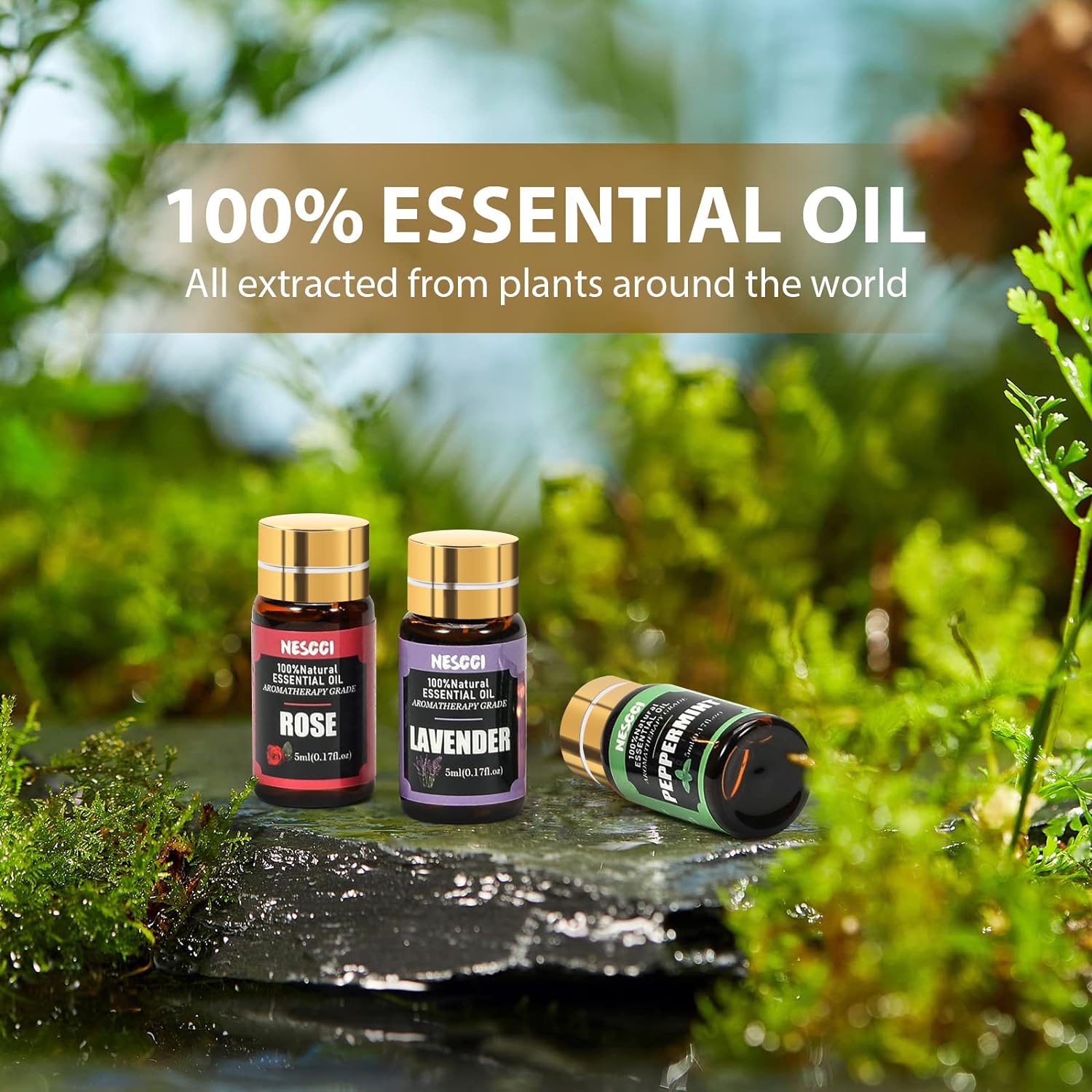 NESCCI Essential Oil Set - Essential Oils 36 x 5ML - Essential Oils Gift Set for Diffuser, Humidifier, Soap, Candle, Bath Bombs Making, Halloween, Christmas