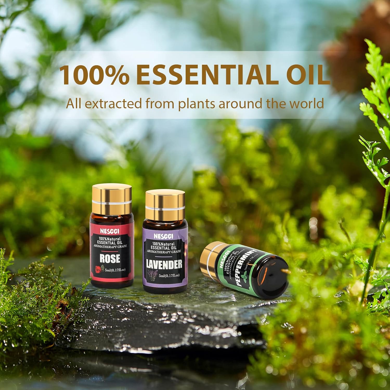 NESCCI Essential Oil Gift Set, for Diffuser, Humidifiers, Essential Oil Set for DIY Candle and Soap Making, Halloween, Christmas