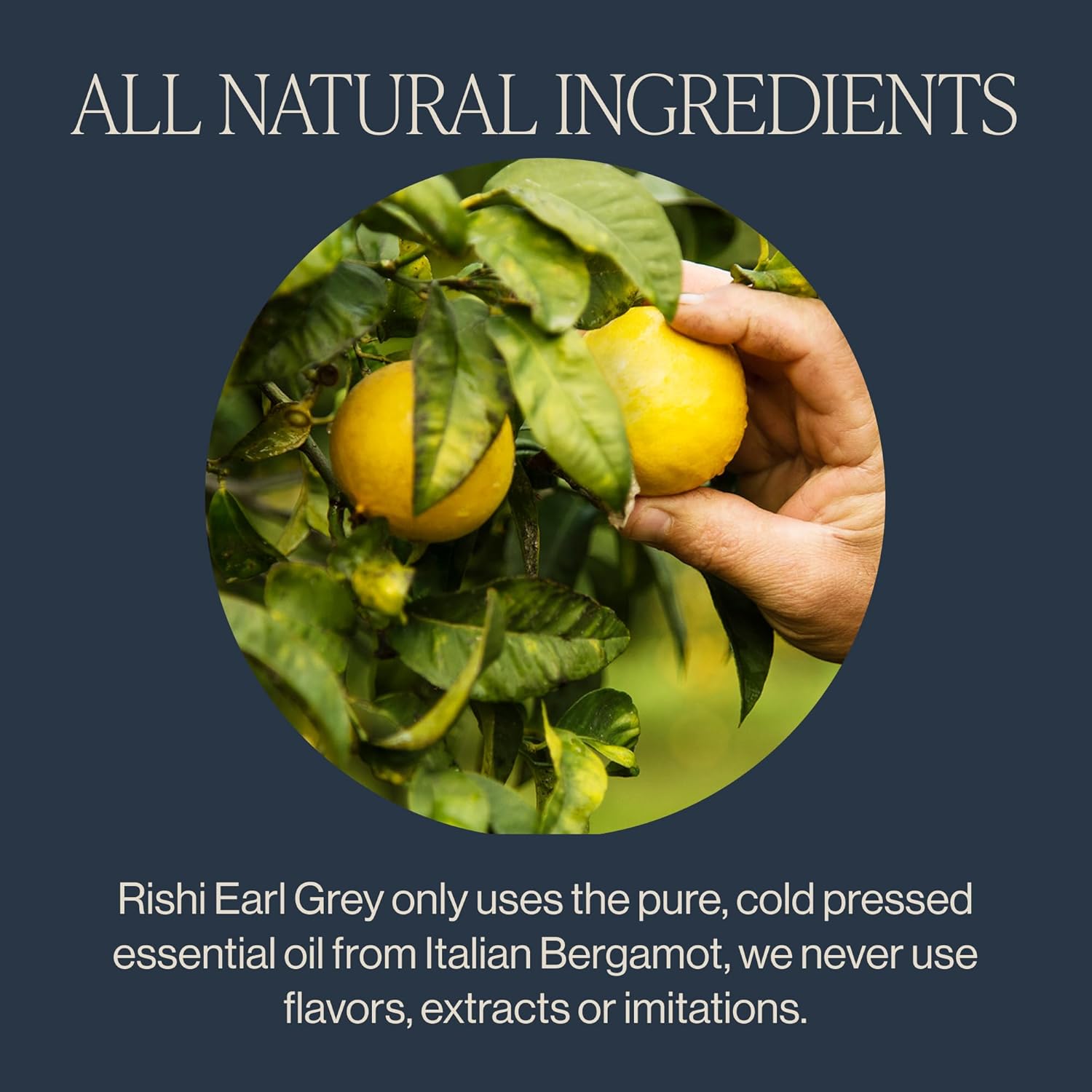 Alternative view of Rishi Tea Earl Grey Tea - Organic Sachet Tea Bags, Pure Black Tea with Bergamot Oil, Energizing & Caffeinated - 50 Count