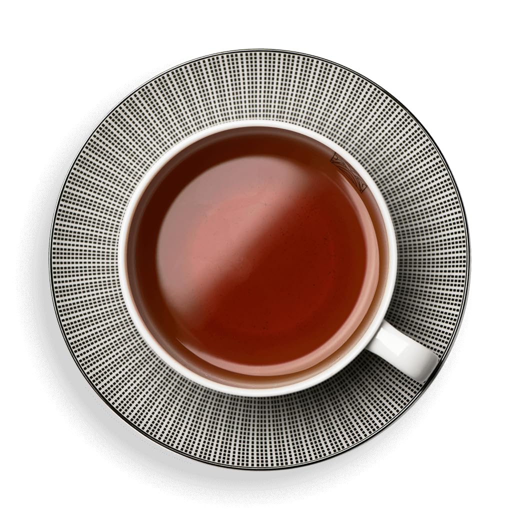 Dammann Freres Satchets, Breakfast Tea Bags, Premium Gourmet French Black Tea, 25 Count (Single Pack) - Image 3