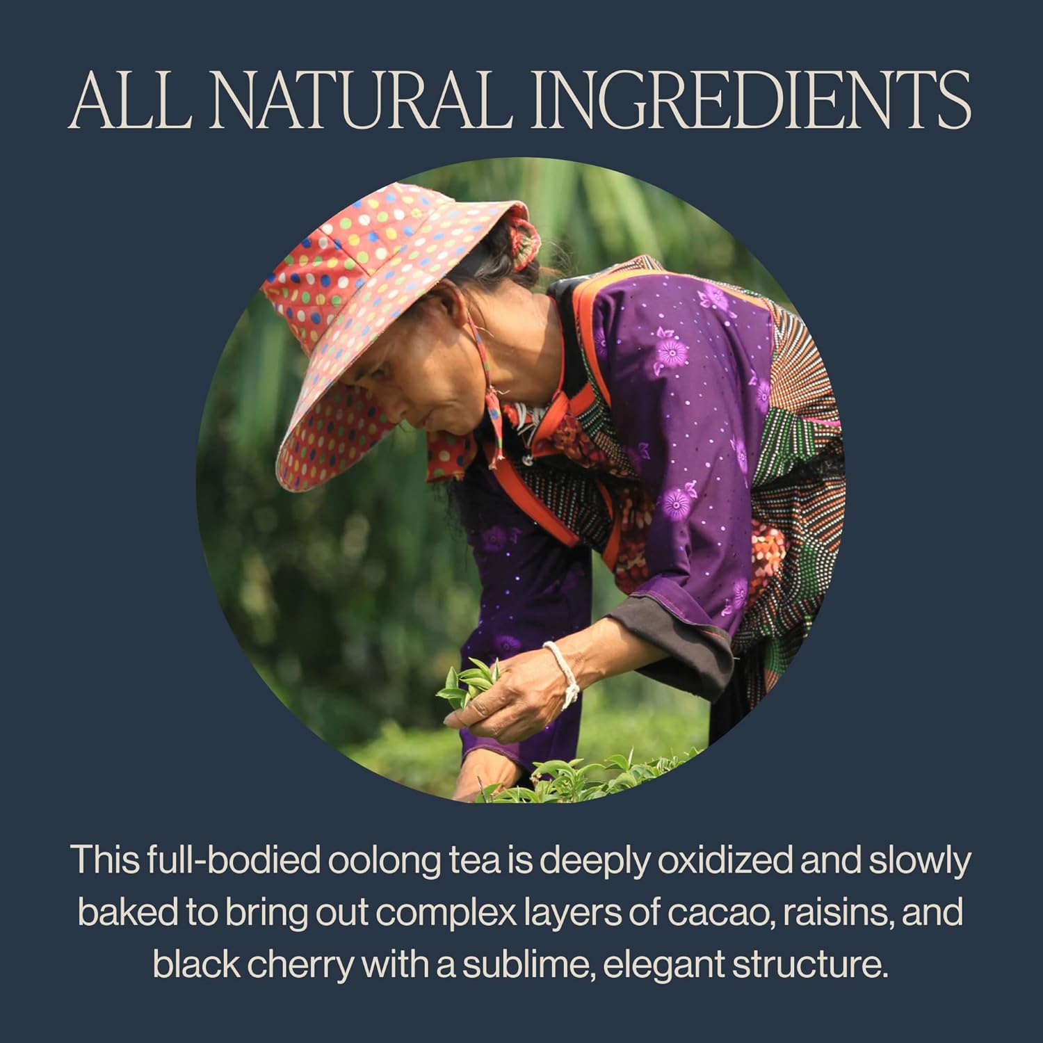 Alternative view of Rishi Tea Ruby Oolong Tea - Organic Sachet Bags, Caffeinated Slow Baked Ball Rolled Oolong, Enjoy Hot Or Iced - 15 Count (Pack Of 1)