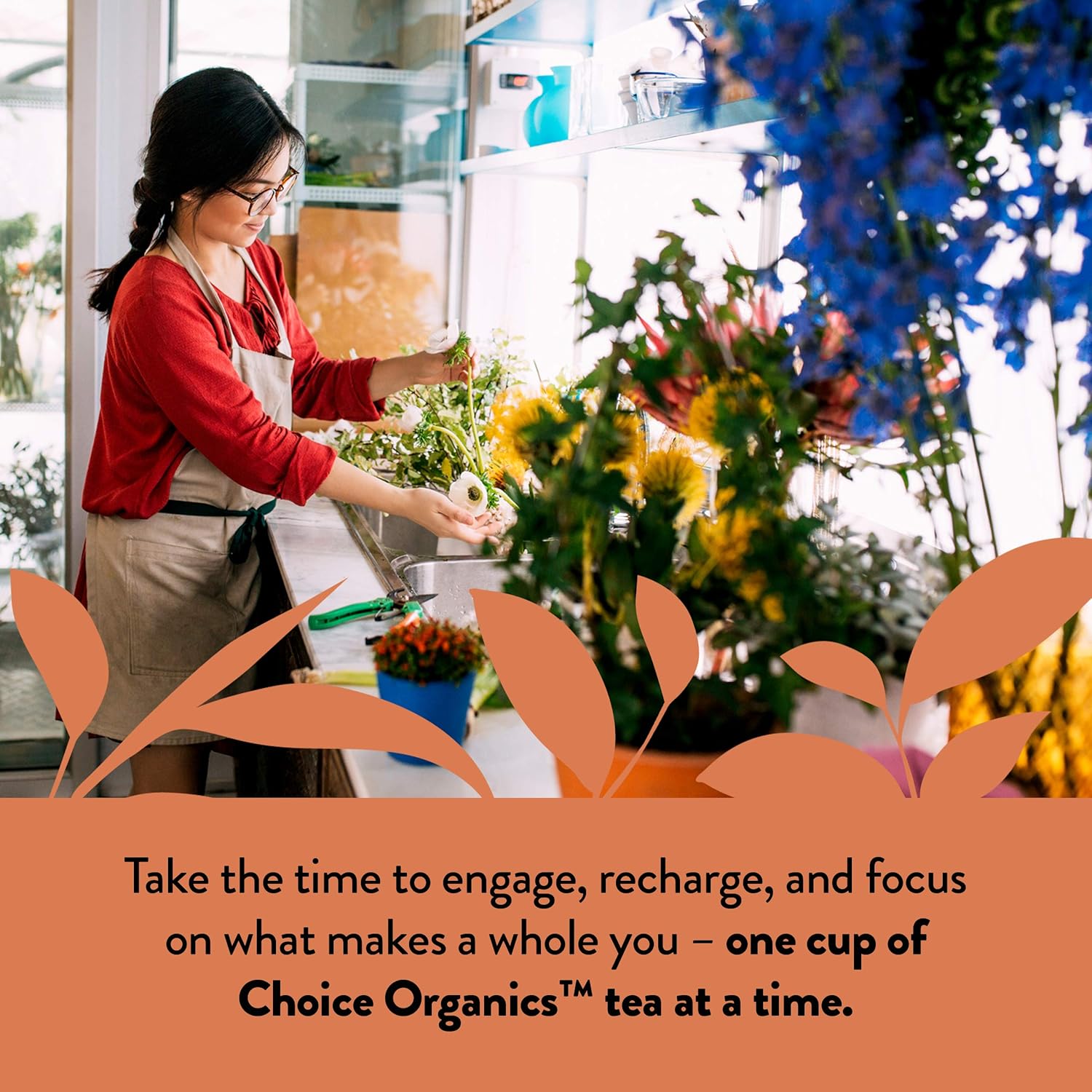 Choice Organic Teas Oolong Tea - Fair Trade - Compostable - Contains Caffeine - 48 Organic Oolong Tea Bags (Pack of 3) - Image 4