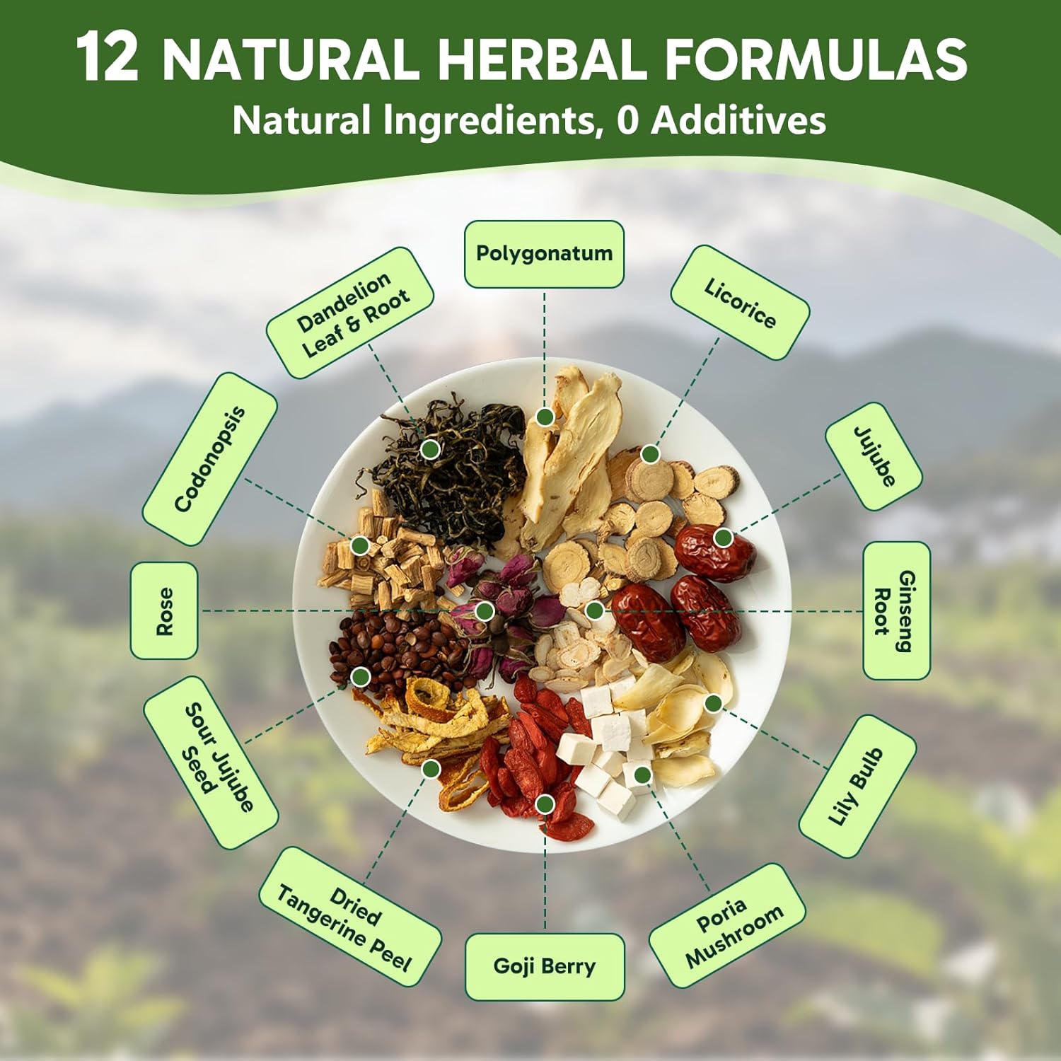 ZenHerbaw Kidney Tea - Herbal Tea with Ginseng, Dandelion, Goji Berry, Poria | 12 Herbal Blend for Kidney Support, Cleanse & Detox, Balance & Vitality | 20 Eco-Friendly Tea Bags