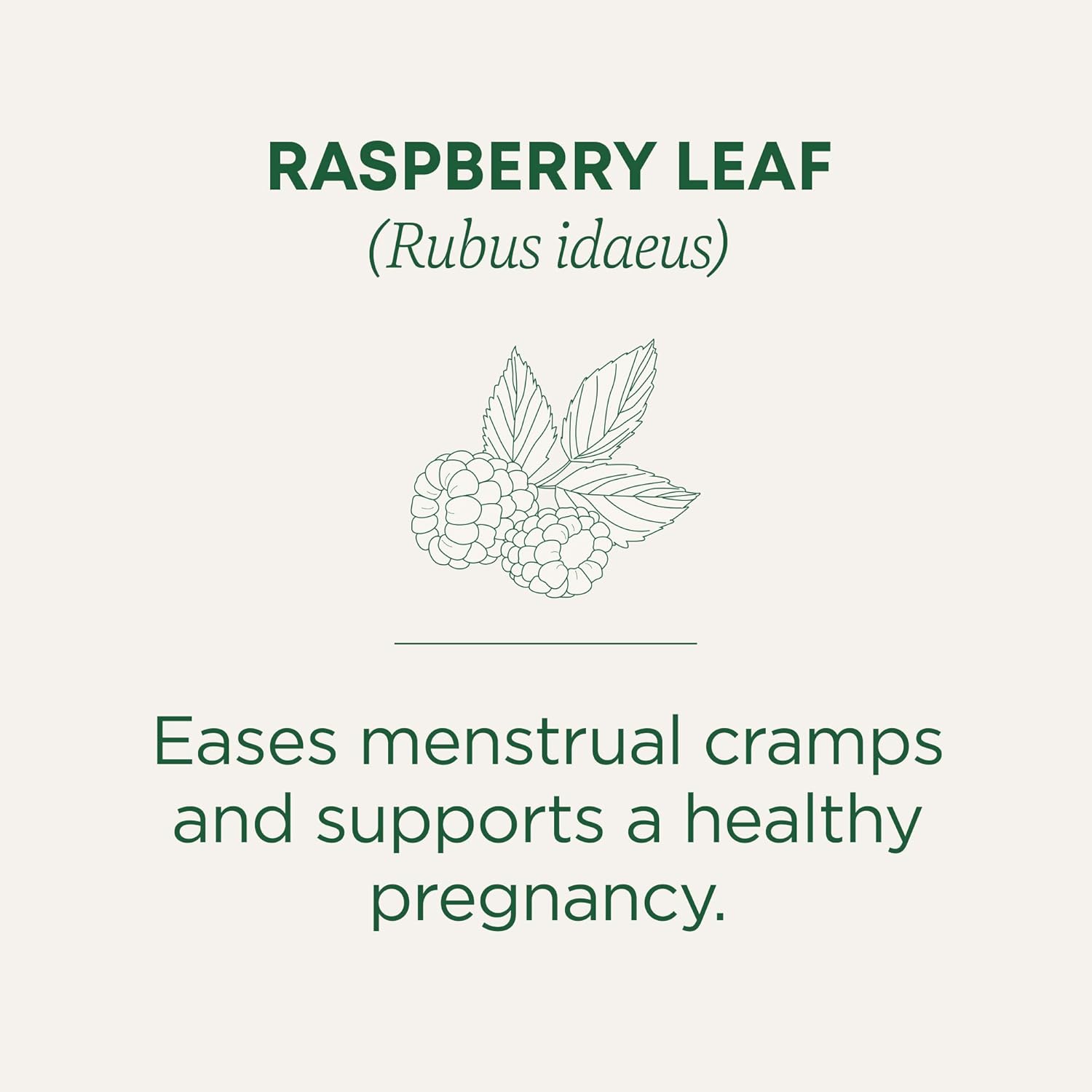 Alternative view of Traditional Medicinals Organic Raspberry Leaf Herbal Tea, Eases Menstrual Cramps & Supports Healthy Pregnancy, (Pack of 1) - 16 Tea Bags