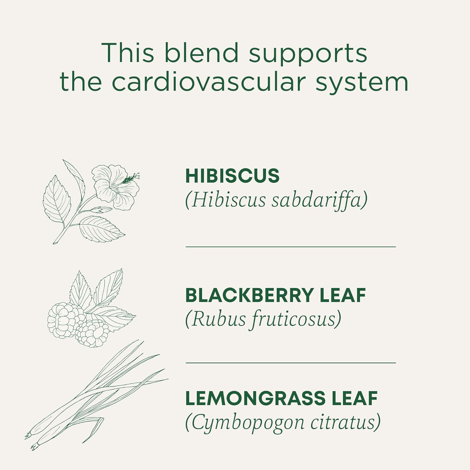 Alternative view of Traditional Medicinals Organic, Hibiscus Tea - Supports Normal Heart Health & Cardiovascular Wellness - Kosher, Non-GMO, Caffeine-Free, Compostable - 16 Tea Bags