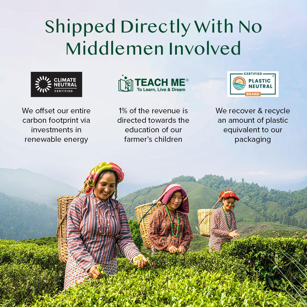 VAHDAM Organic Turmeric Ginger Herbal Tea Bags (100 Pyramid Tea Bags) Caffeine Free, Non GMO | 100% Pure Herbal Blend - Savory & Spicy, Plant-Based Teabags | Resealable Ziplock Pouch - Image 6