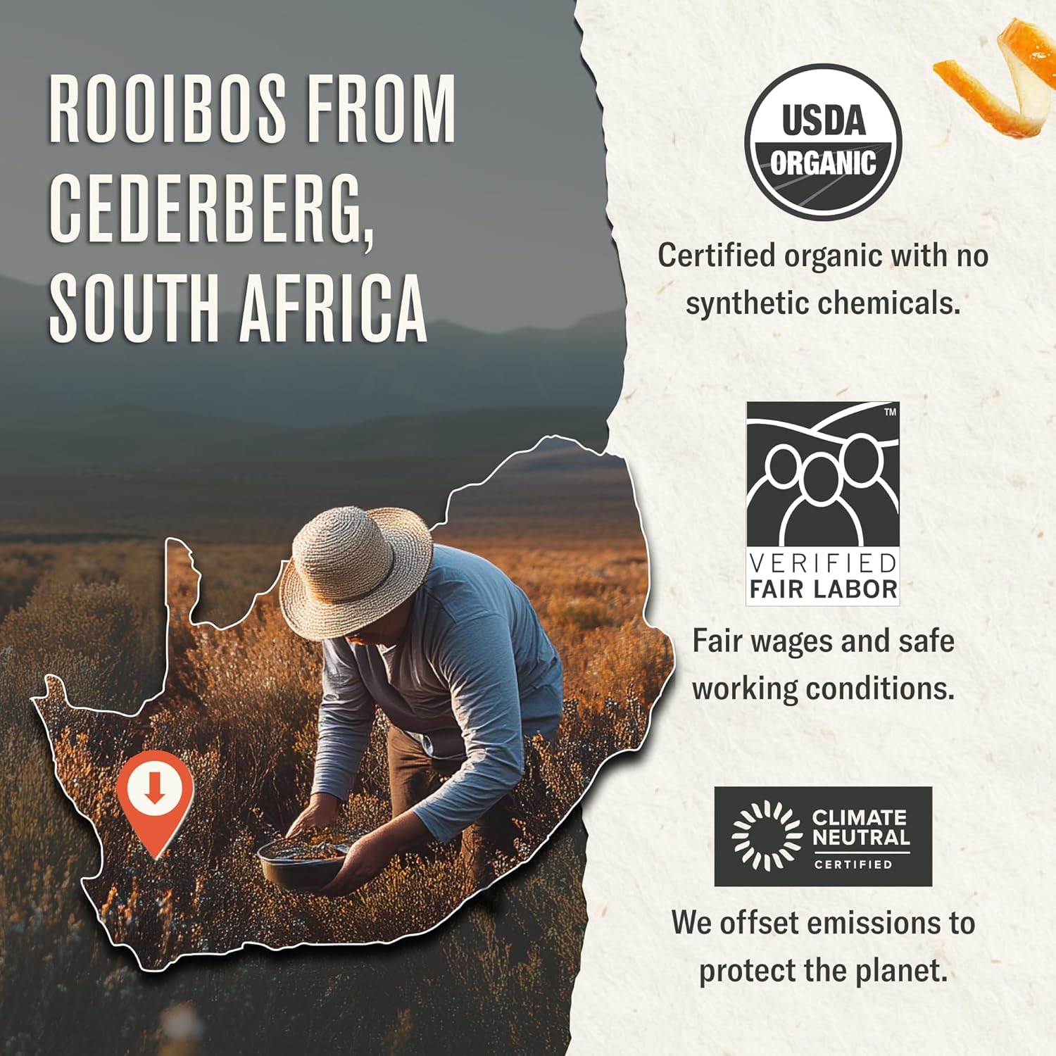 Numi Organic Rooibos Chai Tea, 18 Herbal Bags, Microplastic Free, Rich Flavor with Cinnamon, Allspice & Ginger, Caffeine Free - Image 3