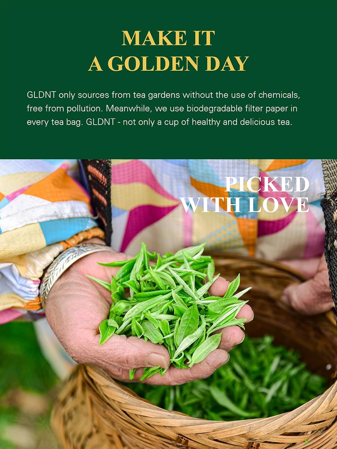 GLDNT Organic Green Tea Bags, Natural Pure Organic Green Tea, Super Antioxidant, Caffeinated, 100 Count - Image 3