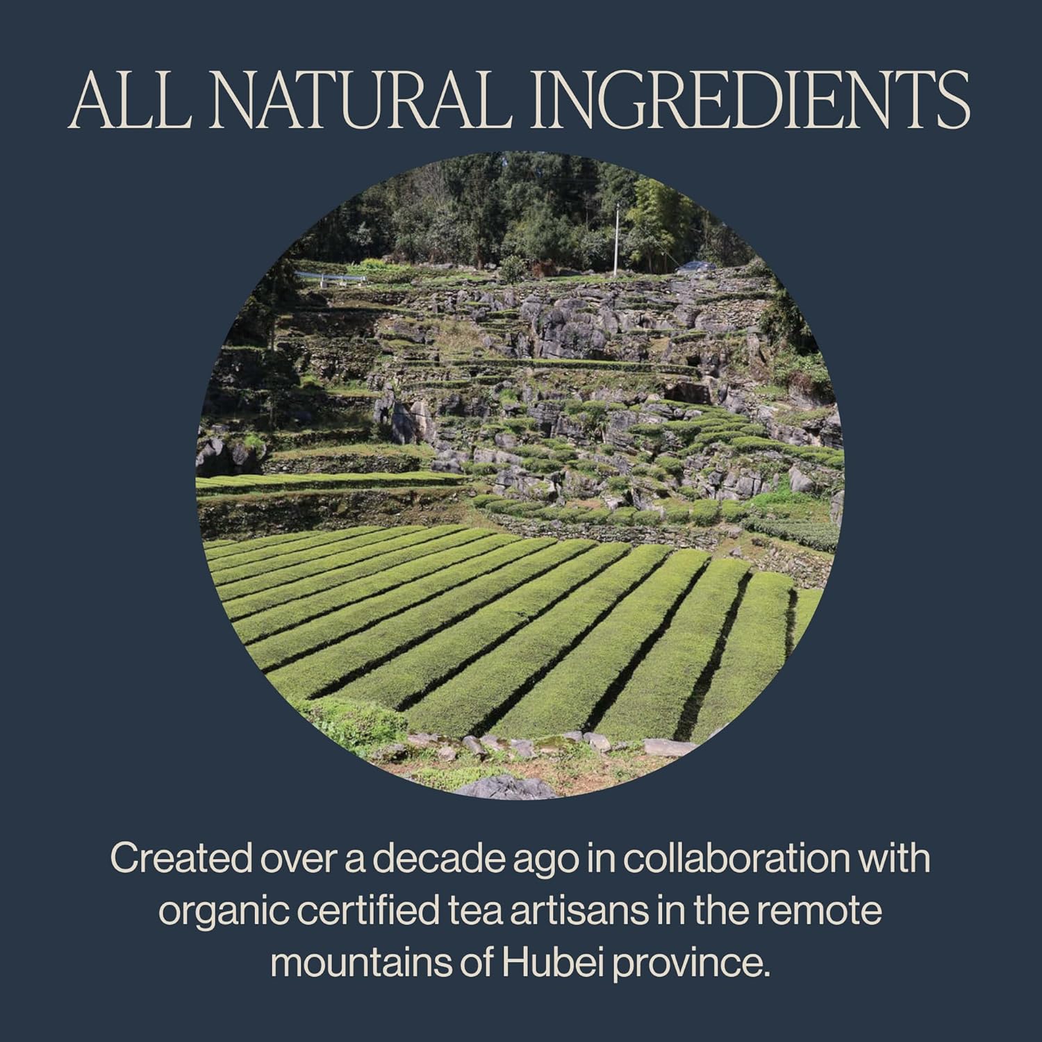 Rishi Tea Jade Cloud Chinese Green Tea - Organic, Caffeinated Sachet Bags with Natural Antioxidants, Enjoy Hot or Iced - 50 Count