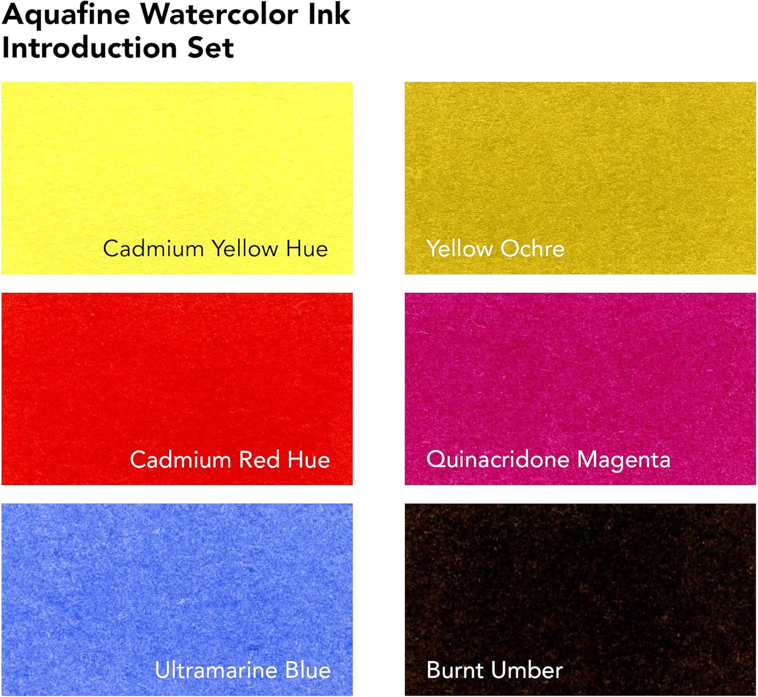 Daler-Rowney Aquafine Watercolor Ink 6-Color Intro Set with Marker - Versatile Liquid Watercolor Ink for Artists and Students - Use with Paint Brushes, Technical Pens, Airbrushes, and Paint Markers