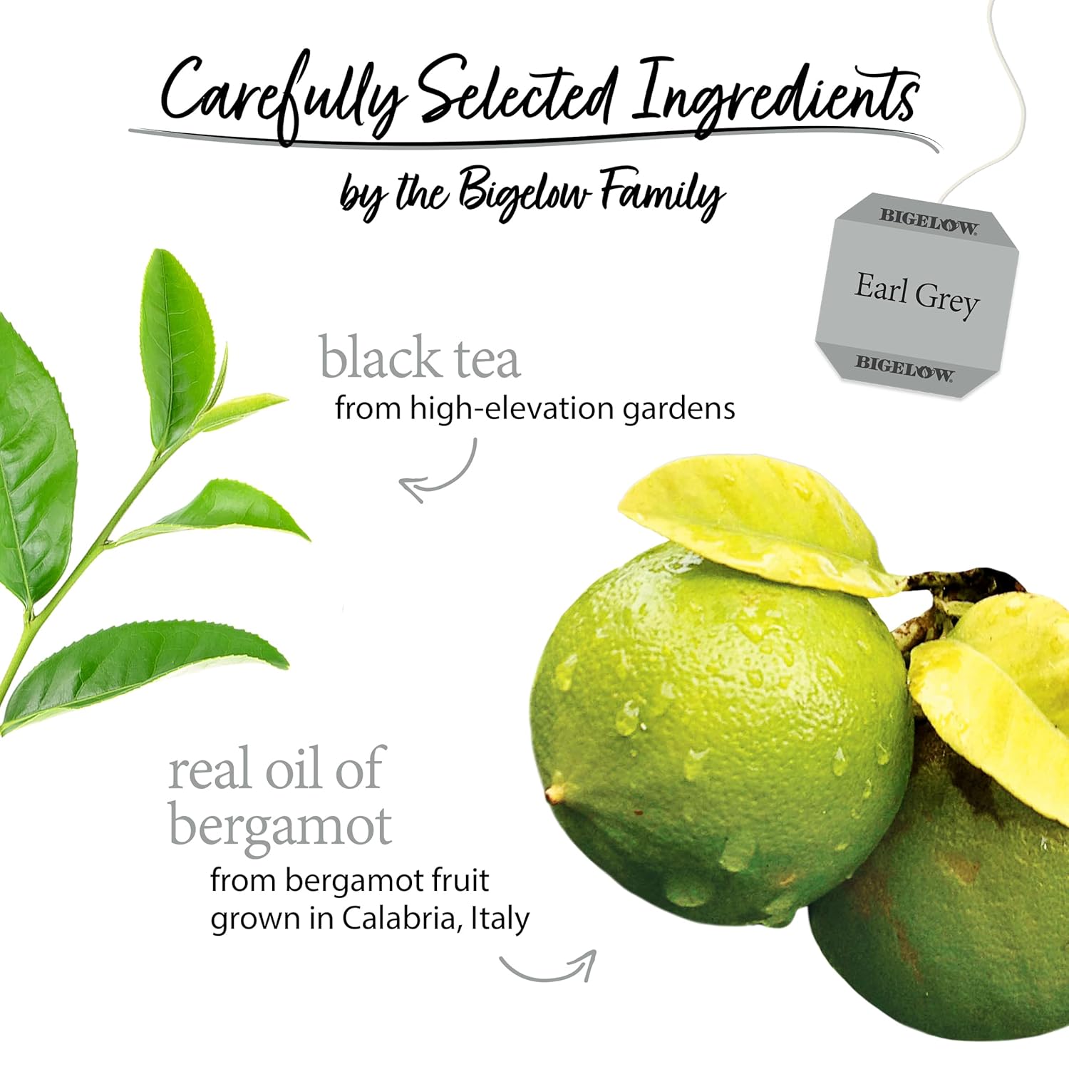 Alternative view of Bigelow Tea Earl Grey Flavored Black Tea, Kosher, 20 Bags, 1.18 Ounces (Pack Of 6)