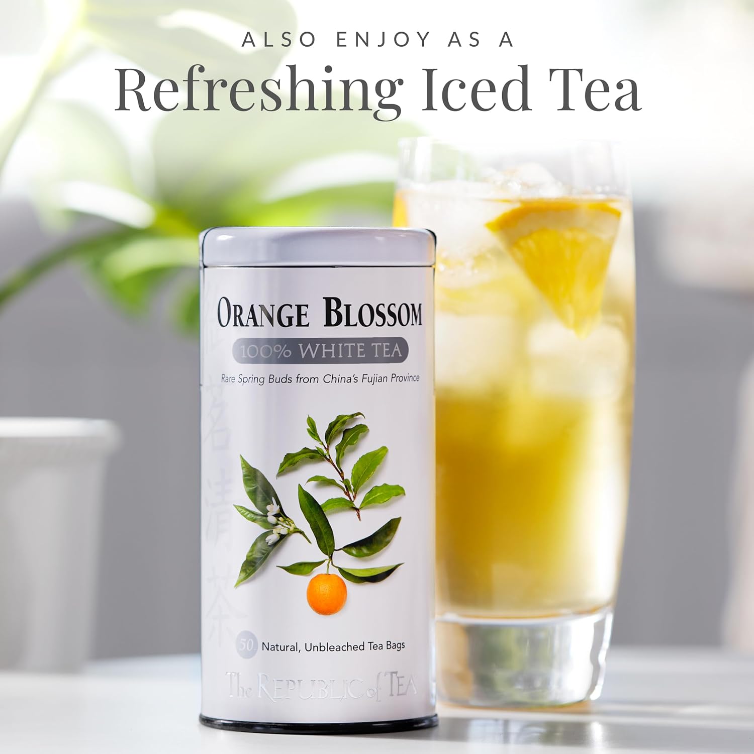 The Republic of Tea – Orange Blossom 100% White Tea Bags, Steeps 50 Low-Caffeinated Cups - Image 3