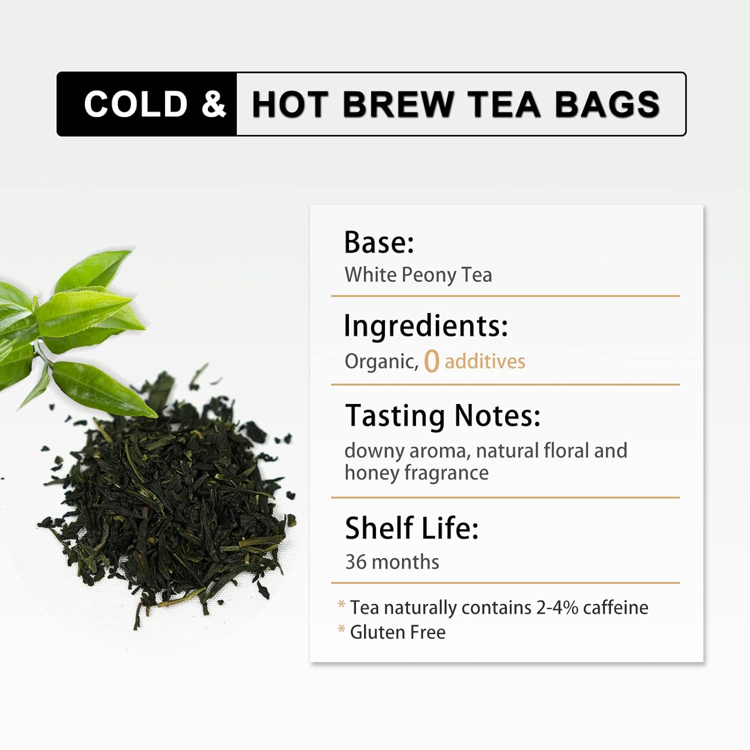 RIANTEA Organic White Tea Bag 36 Count - Cold Brew Loose Leaf Tea Bags, Biodegradable Corn Fiber Sachets, Full-Leaf, Eco-Conscious Iced Tea, Refreshing & Smooth Flavor