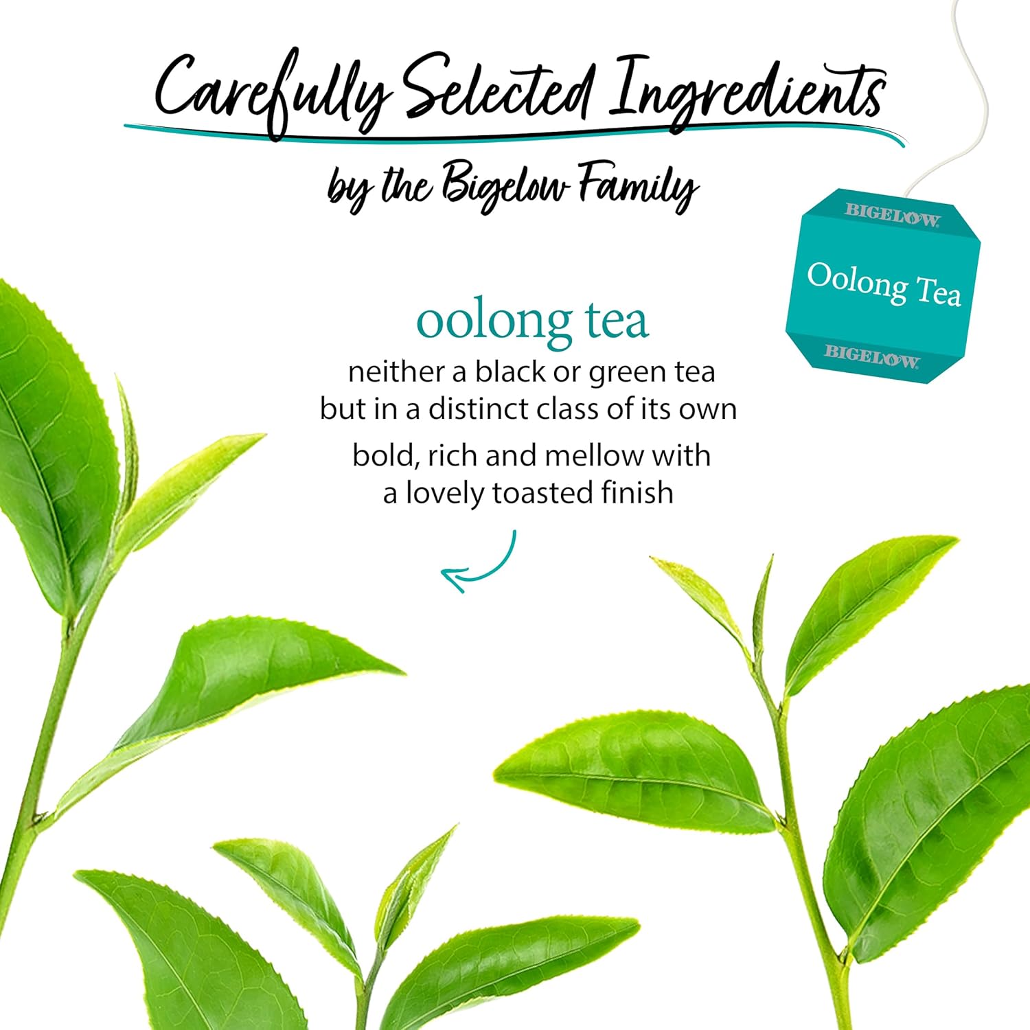 Alternative view of Bigelow Tea Oolong Tea, Caffeinated Tea with Fresh, Smooth Taste, 20 Count Box (Pack of 6), 120 Total Tea Bags